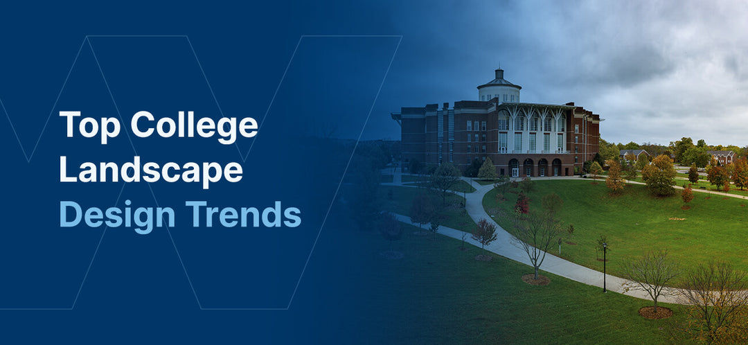 Top college design trends